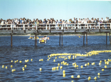 Photograph - Cunninghame Arm footbridge, LE Tidy Town Committee, Lakes Entrance Victoria, 1994 c