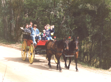 Photograph - Blakeman Coach Rides, LE Tidy Town Committee, Wairewa Victoria, 1994 c