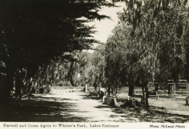 Postcard - Whiters Camp Park, Mona McLeod, 1935