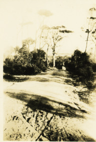 Photograph - Jemmys Point roadway  Lakes Entrance 1924