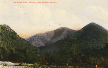 Postcard - Black Hills Deddick, WPT series, 1908 c