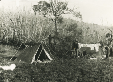 Photograph - Photographers  Campsite, 1903 c