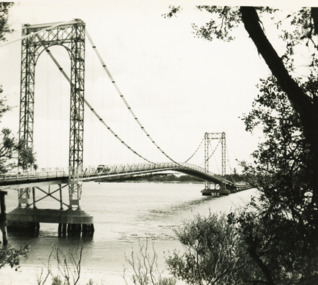 Photograph - Suspension bridge Phillip Island, U Carpenter, 1950 c