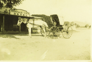 Photograph - Buffalo View Hotel, 1910 c