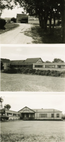 Postcard - Woodbine Guesthouse Lakes Entrance  c1940, H D Bulmer