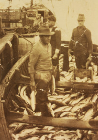 Photograph - Egan/Allen/Wilkins - Fishing Industry, 1939 c