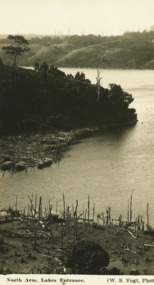 Postcard - The Blackbird launch, H D Bulmer, Peels Cruisers Lakes Entrance, 1930 c
