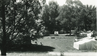 Postcard - Bruthen Camp Park, Rose Series p1744, Camping at Bruthen, 1070 c