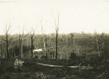 Photograph - Settlers Home Gelantipy, Rev John Flynn, 1906