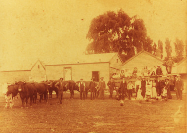 Photograph, George Price Grant Metung, 1905 - 10