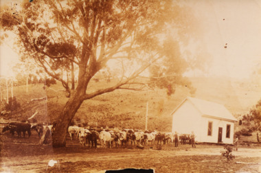 Photograph, George Price Grant Metung, 1900 c