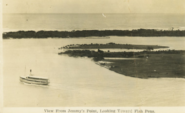 Postcard - S.S. Gippsland, 1910 c