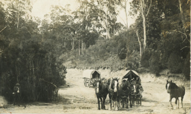 Postcard - Old Bunga Road