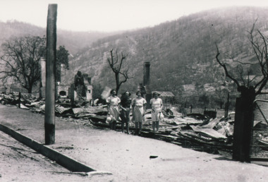 Photograph - After the Fires - Omeo 1939, 1/01/1939 12:00:00 AM