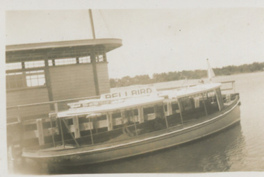 Photograph, Bellbird, 1940 c