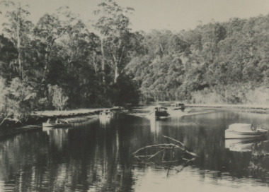 Postcard - Bellbird and Blackbird, Bulmer, 1940 c