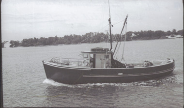 Photograph - Kembla, Bulmer, 1950 c