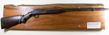 Functional object - Shotgun