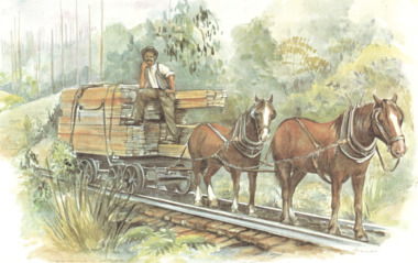 Postcard - Timber railway, c1930