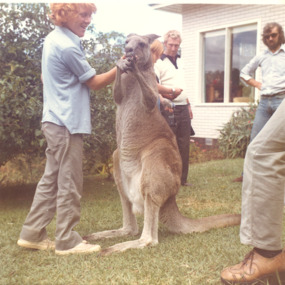 Photograph - "Joey" Kangaroo at Gypsy Point Hotel, Victoria, c1980