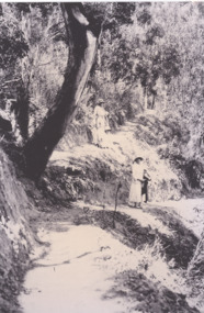 Photograph - Nyerimilang Jetty track, c1920's