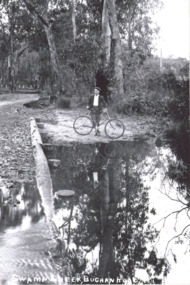 Photograph - Swamp Creek Buchan Road