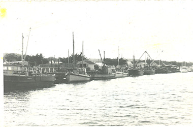 Photograph - Fishing boats in Eastern Harbour Lakes Entrance c1950