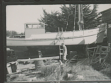Photograph - Tamborita