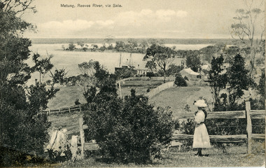 Postcard - Metung, Metung Reeves River via Sale