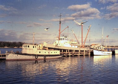 Photograph - Avon, John Franklin, -  Lakes Entrance