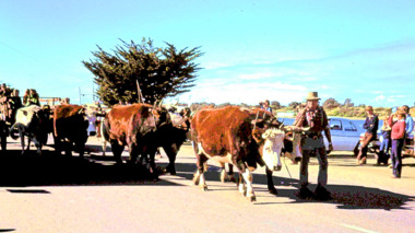 Photograph - Kinkuna Parade - Lakes Entrance c1980
