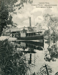 Photograph - SS Dargo