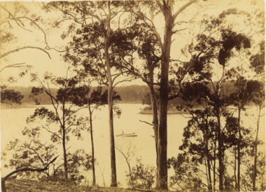 Photograph - Nymph Island Rippling Straits Lake Tyers, Brooks Photographic Union, c1910