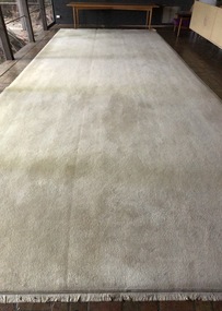 Functional object - Rug