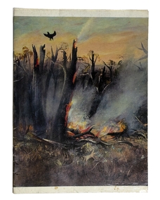 Booklet, National Gallery of Victoria, Boyd and Nolan Exhibition, 1970