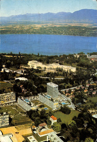 Postcard, Lyn, Lyn to Patricia and John Davies