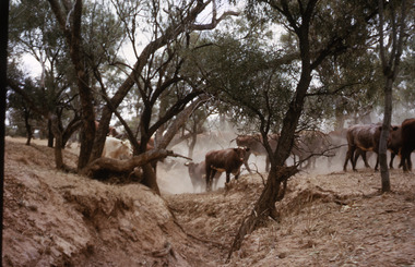 Slide, Robin Boyd, 1966