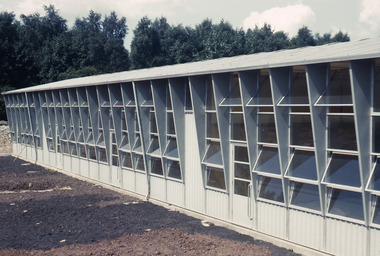 Slide, Robin Boyd, 1950