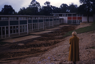 Slide, Robin Boyd, 1950