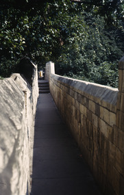 Slide, Robin Boyd, 1950