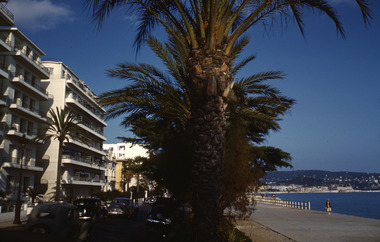 Slide, Robin Boyd, 1950