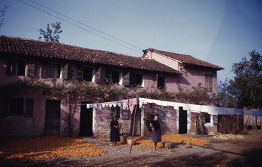 Slide, Robin Boyd, 1950
