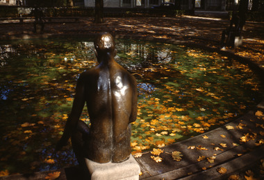 Slide, Robin Boyd, 1950