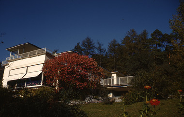 Slide, Robin Boyd, 1950