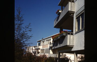 Slide, Robin Boyd, 1950