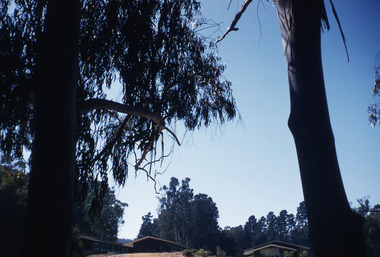 Slide, Robin Boyd, 1956-1957