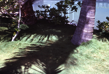 Slide, Robin Boyd, 1969