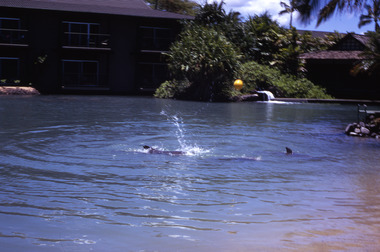 Slide, Robin Boyd, 1969