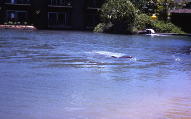 Slide, Robin Boyd, 1969