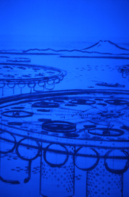 Slide, Robin Boyd, 1966